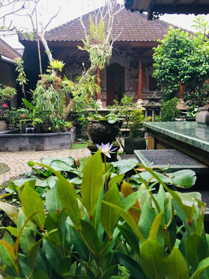 Wina Ubud B&B Exteriér fotografie